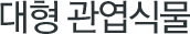대형 관엽식물
