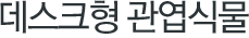 데스크형 관엽식물