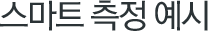 스마트 측정 예시